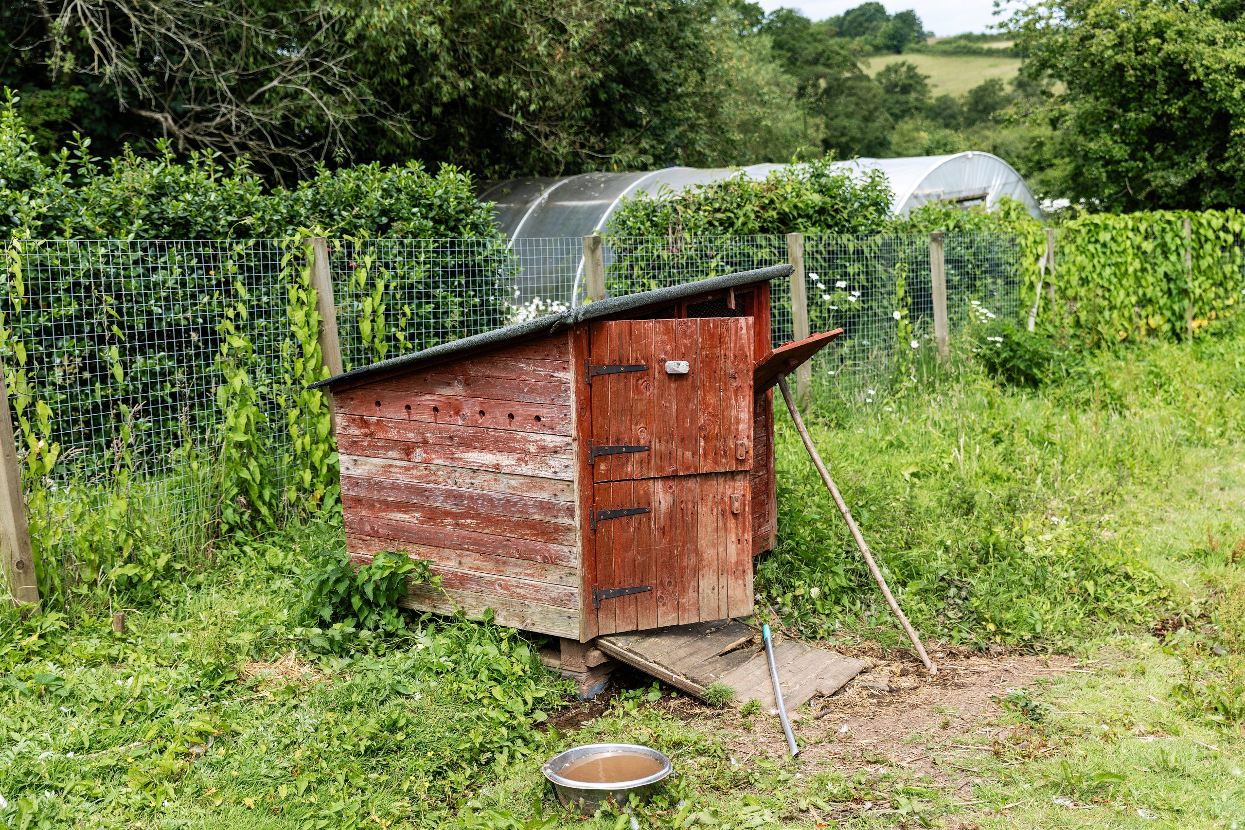 A hut in an enclosed field